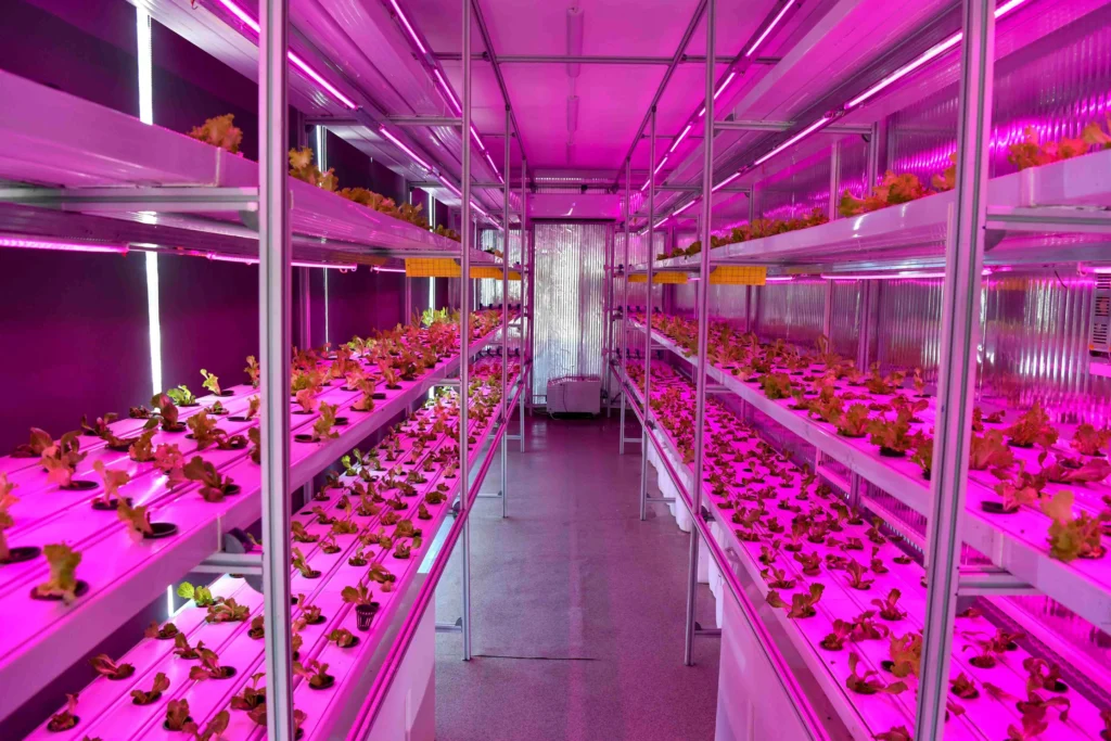 Ank. Büyük Şehir Bld. Bitki Kabini