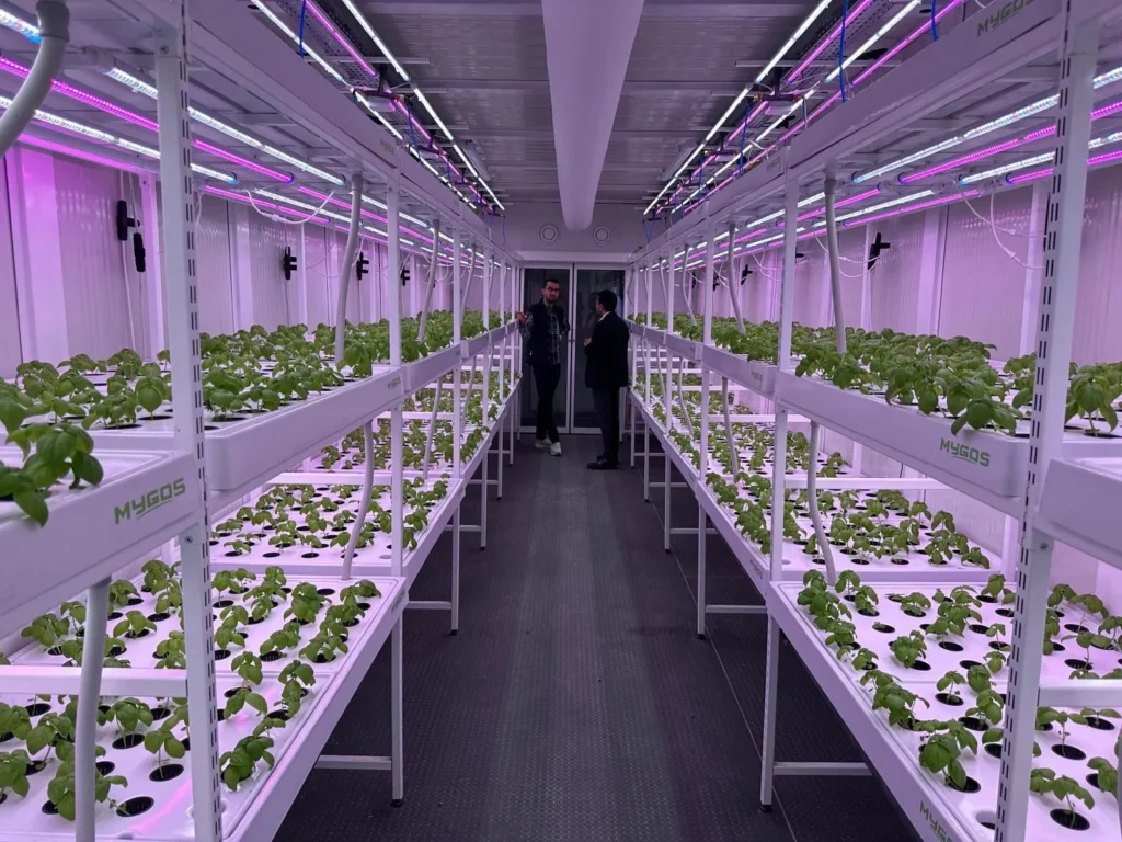 Vertical Agriculture